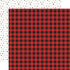 Echo Park - Let's Go Camping Collection - 12 x 12 Double Sided Paper - Wild Plaid