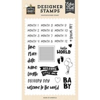 Echo Park - Special Deliver Baby Collection - Clear Photopolymer Stamps - Baby Stats