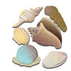 EK Success - Jolee's Boutique - 3 Dimensional Stickers - Seashells