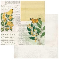 49 and Market - Curators Botanical - 12 x 12 Double Sided Paper - Natural History