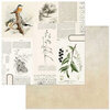 49 and Market - Curators Meadow Collection - 12 x 12 Double Sided Paper - Juniper
