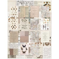 49 and Market - Color Swatch Toast Collection - Collage Sheets