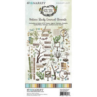 49 and Market - Vintage Artistry Nature Study Collection - Laser Cut Elements - General