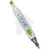 Copic - Copic Marker - YG17 - Grass Green