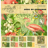 Graphic 45 - Lost In Paradise Collection - 12 x 12 Collection Pack