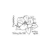 Hero Arts - Clear Photopolymer Stamps - Hero Florals - Magnolia