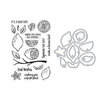 Hero Arts - Die and Clear Photopolymer Stamp Set - Zest Wishes