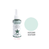 Heidi Swapp - Color Shine Iridescent Spritz - 2 Ounce Bottle - Seafoam