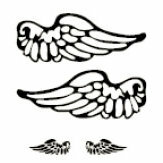 Heidi Swapp - Clear Stamps - Images - Wings