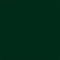 My Colors Cardstock - By PhotoPlay - 12 x 12 Classic Cardstock - Forest Green