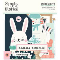 Simple Stories - Winter Wonder Collection - Ephemera - Journal Bits And Pieces