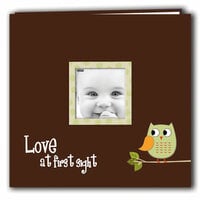 Pioneer - EZ Load Memory Album - 12 x 12 - 10 Top Loading Pages - Printed Designer Frame - Baby Owl - Green