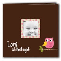 Pioneer - EZ Load Memory Album - 12 x 12 - 10 Top Loading Pages - Printed Designer Frame - Baby Owl - Pink