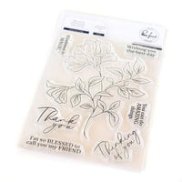 Pinkfresh Studio - Clear Photopolymer Stamps - Amazing Things