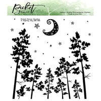 Picket Fence Studios - Clear Photopolymer Stamps - A Nightly Sky