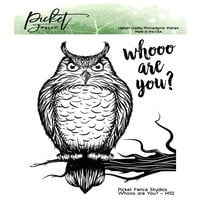Picket Fence Studios - Clear Photopolymer Stamps - Whooo Are You