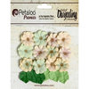 Petaloo - Darjeeling Collection - Floral Embellishments - Mini Daisies with Leaves - Pistachio