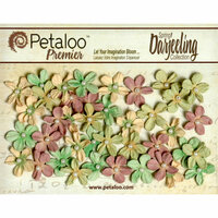 Petaloo - Darjeeling Collection - Floral Embellishments - Mini Pearl Daisies - Pistachio