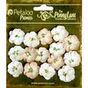 Petaloo - Penny Lane Collection - Floral Embellishments - Forget Me Nots - Vanilla
