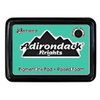 Ranger Ink - Adirondack Brights - Pigment Ink Pad - Clover, CLEARANCE
