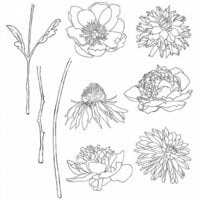 Stampers Anonymous - Tim Holtz - Cling Mounted Rubber Stamp Set - Flower Garden