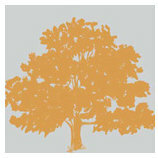 Teresa Collins - 8 x 8 Transparency - Family Tree, CLEARANCE