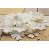Prima - E Line - Bermuda Breeze Collection - Flower Embellishments - White