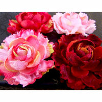 Prima - Windsor Roses Collection - Flowers - London