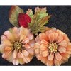 Prima - Juliette Collection - Flowers - Apricot