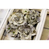 Prima - Gallery Roses Collection - Flower Embellishments - Novella