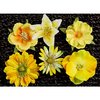 Prima - Melange Collection - Flower Embellishments - Yellow, CLEARANCE