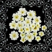 Prima - Athena Collection - Flower Embellishments - Powder Puff