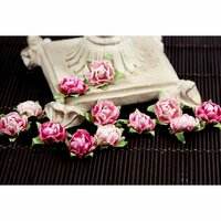 Prima - Cameo Roses Collection - Miniature Mulberry Flower Embellishments - Azalea