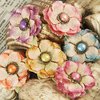 Prima - Ameruse Collection - Flower Embellishments - Duchess Mix