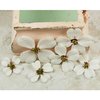 Prima - Calcutta Dogwood Collection - Fabric Flower Embellishments - Bright White, CLEARANCE