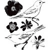 Prima - Meadow Lark Collection - Clear Acrylic Stamps - Mix 2