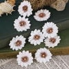 Prima - Tivona Collection - Flower Embellishments - Small - Daisy