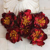 Prima - Bel Canto Collection - Fabric Flower Embellishments - Burgundy