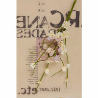 Prima - Lady Bird Collection - Flower Embellishments - Solid Flower Vine - White