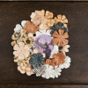 Prima - Cartographer Collection - Flower Embellishments - La Carte
