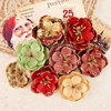 Prima - A Victorian Christmas Collection - Flower Embellishments - Holiday Lights