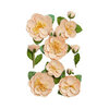 Prima - Peach Tea Collection - Flower Embellishments - Peach Iced Tea