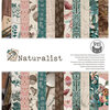 P13 - Naturalist Collection - 12 x 12 Paper Pad