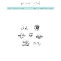 Papertrey Ink - Clear Photopolymer Stamps - Just Sentiments - Snow