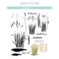 Papertrey Ink - Clear Photopolymer Stamps - Captivating Cattails