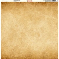 Ella and Viv Paper Company - Vintage Backgrounds Collection - 12 x 12 Paper - Three