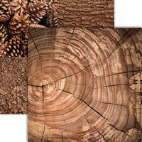 Reminisce - Nature's Textures Collection - 12 x 12 Double Sided Paper - Earthy Browns