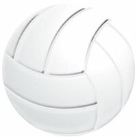 Reminisce - Real Sports Collection - 12 x 12 Textured Die Cut Paper - Volleyball