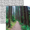 Reminisce - Take a Hike Collection - 12 x 12 Double Sided Paper - Forest Trail
