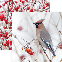 Reminisce - Winter Canvas Collection - 12 x 12 Double Sided Paper - Birds and Berries
